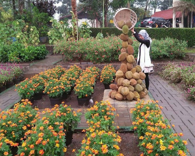 Bhakti Alam Pasuruan Harga Tiket Masuk dan Alamat Lokasi