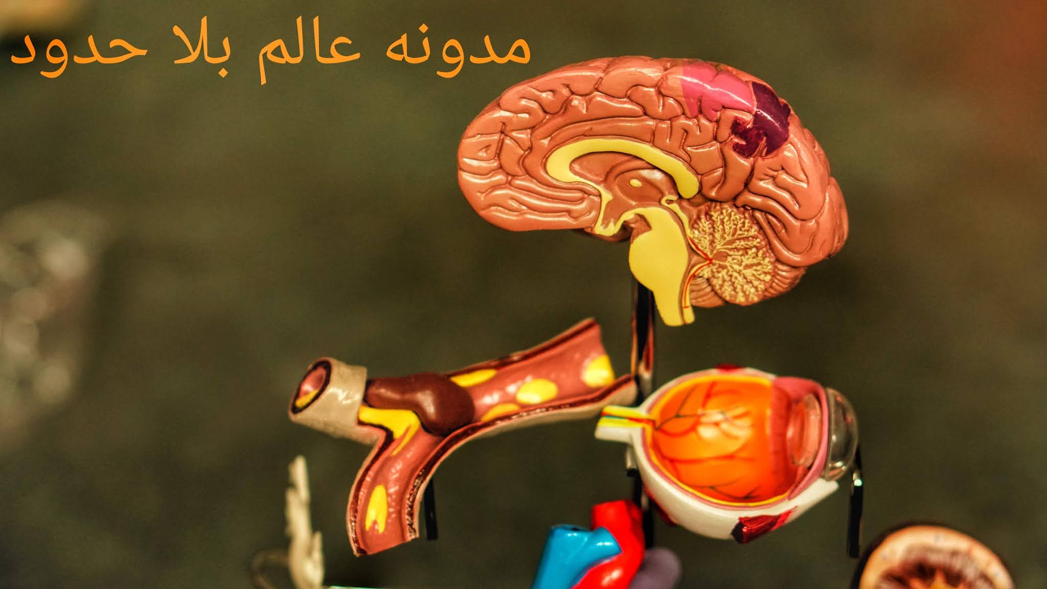اعراض نقص مخزون الحديد في الجسم