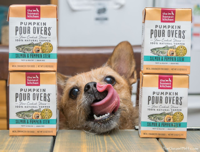 Mini Review: The Honest Kitchen Pumpkin Pour Overs Dog Food Topper