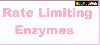 rate-limiting-enzymes