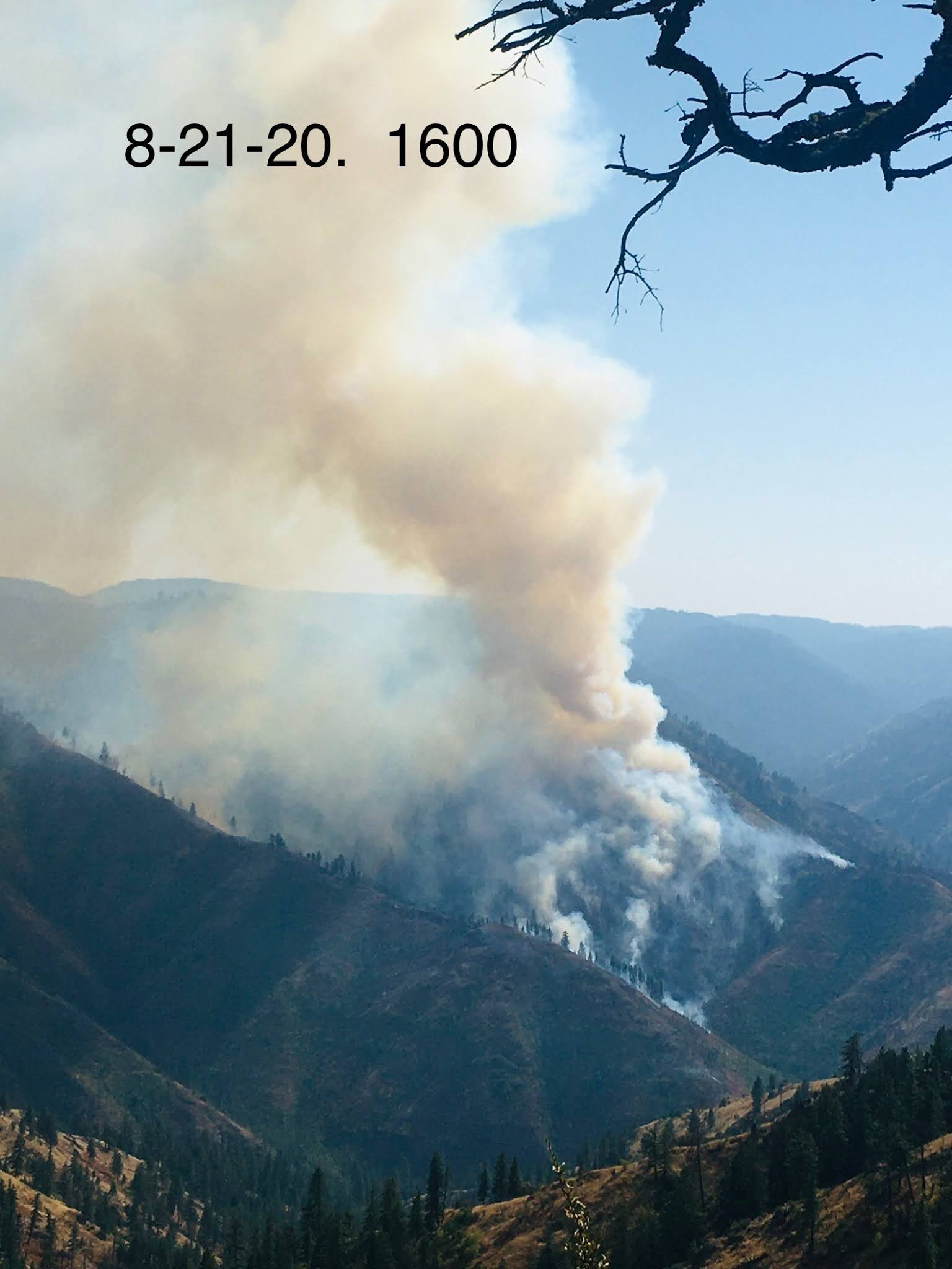 Blue Mountain Fire Information Rattlesnake Fire grows on the Pomeroy