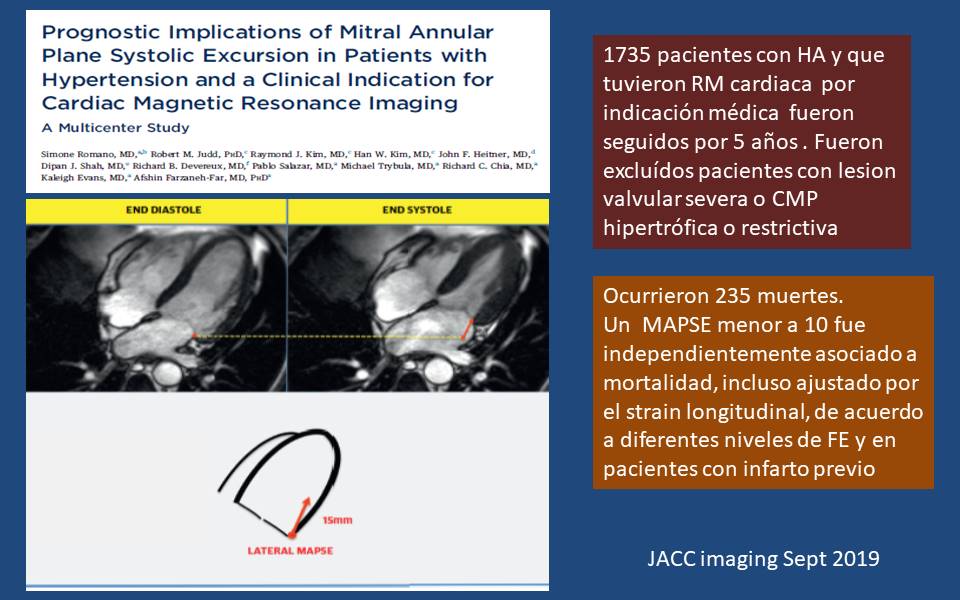 ECHOVAR ECO DEL DIA El MAPSE en el momento actual