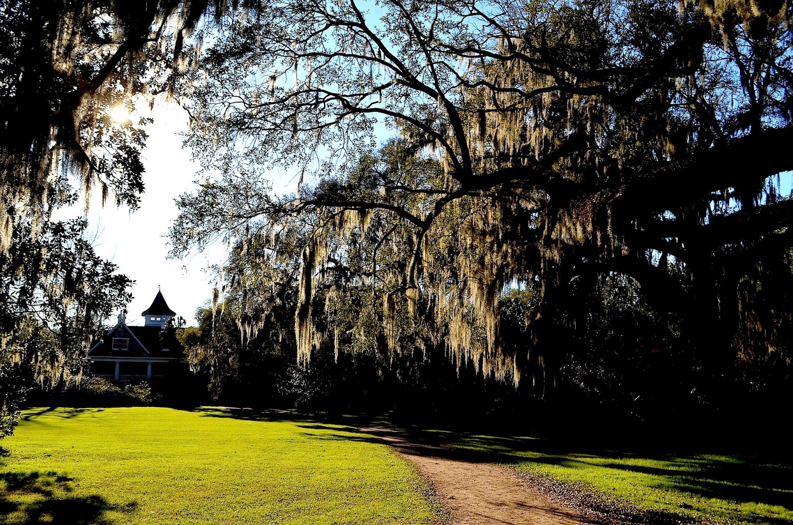 Мы забыли как вставить сюда текст.