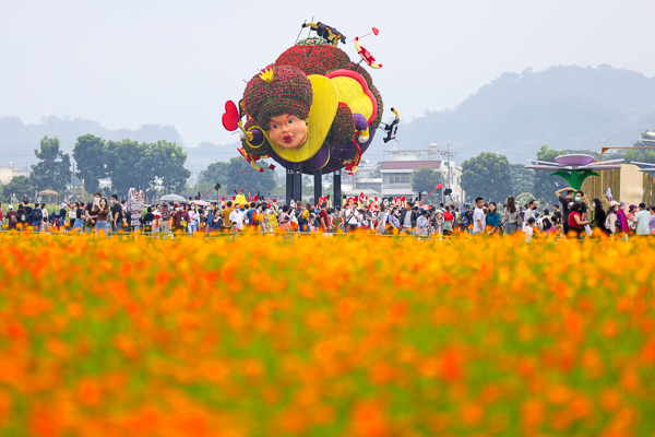 2020新社花海暨台中國際花毯節「愛麗絲的花境探險」精彩不容錯過