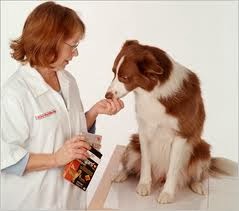 Pet Medicines
