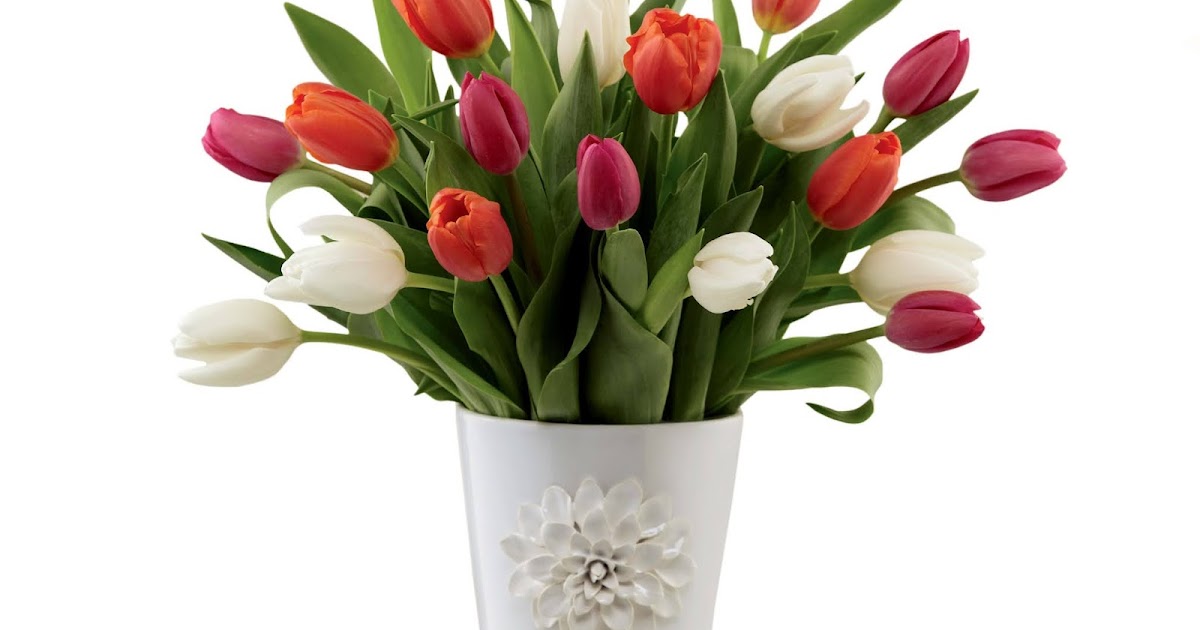 Best Florist In Playa Del Rey California 90293 Playa Del Rey Florist