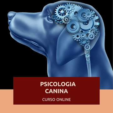 Curso de Psicologia Canina