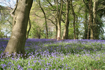 Northend near Turville