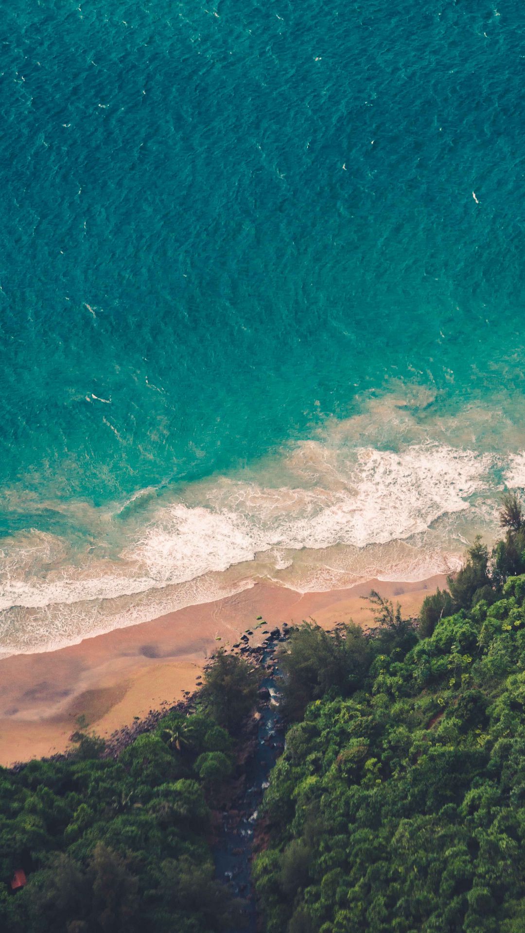 Hd Wallpaper Forest Beach Waves Sea Aerial View Download