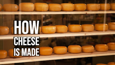 Here's What No One Tells You About How Cheese is Made?