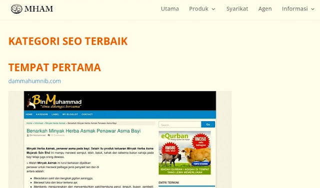 Kejayaan Singkat Blog Dengan Kuasa SEO