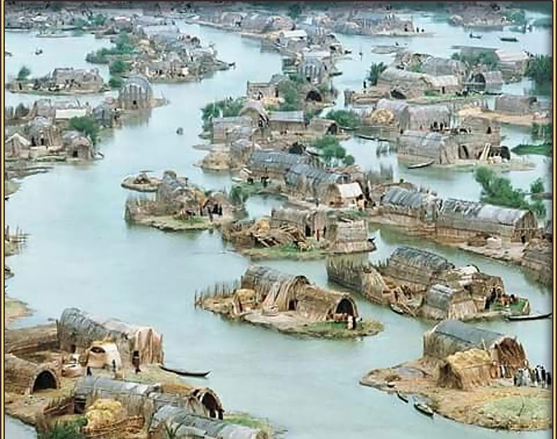 Shouting Into The Void Marsh Dwellers Environment