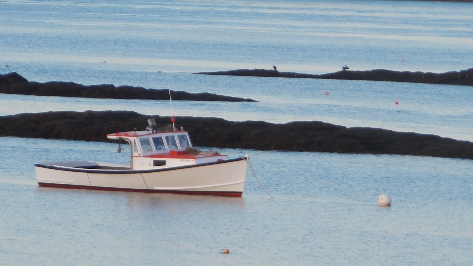 An Ocean Lover in Maine Hikes in Harpswell Potts Point