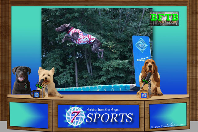 BFTB NETWoof sports desk with backdrop of GSP Dock Diving