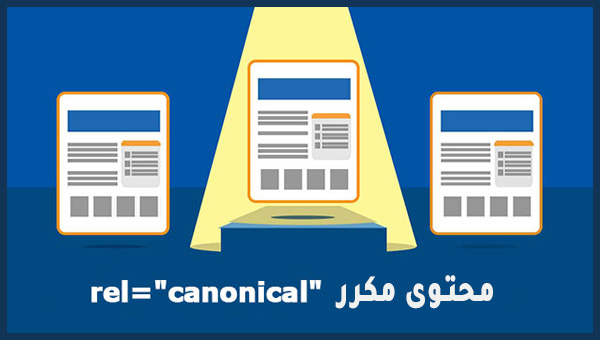 duplicate submitted URL not selected as canonical
