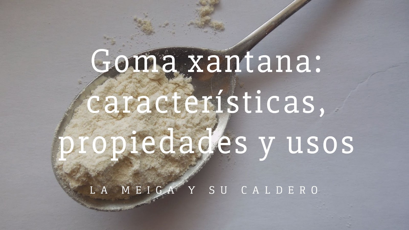 La meiga y su caldero Goma Xantana Características, Propiedades y Usos