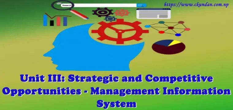 Strategic and Competitive Opportunities - Management Information System