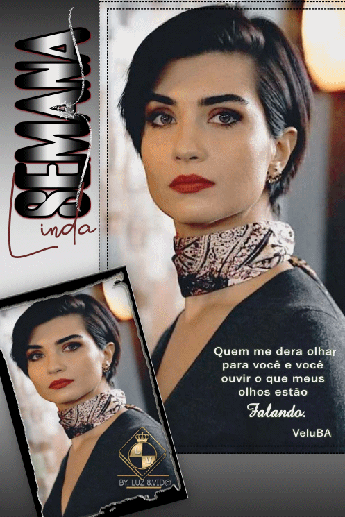 NOVO31-%2528MB%2529maryluz.gif