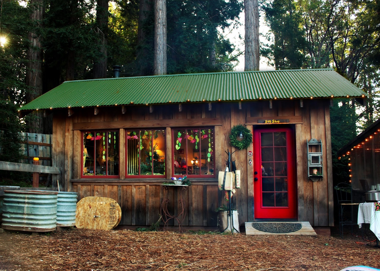 San Francisco Bay Style Ward Ranch Christmas Tree Farm