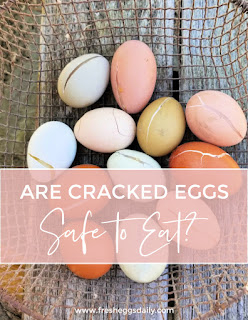 are cracked eggs safe to eat