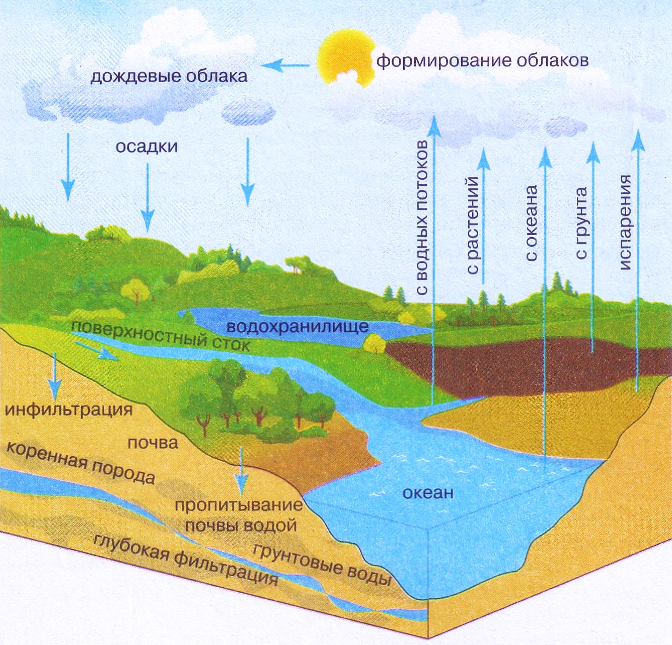 Круговорот погоды. Круговорот воды в природе схема. Гидросфера круговорот воды. Этапы мирового круговорота воды в природе. Цикл воды в природе схема.