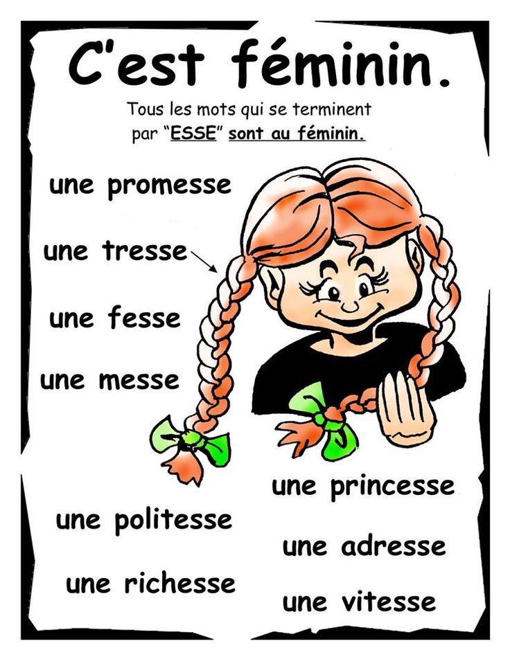 Le français utile Le féminin des noms (Booklet, VIIe classe, Unité 5