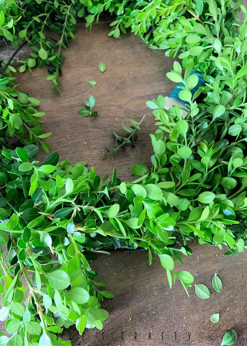 Cover entire wreath for with bunches of Boxwood.