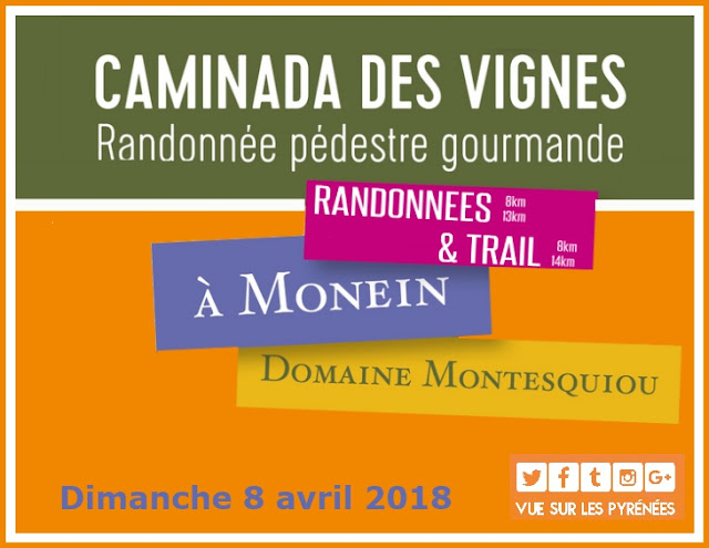 Caminada des Vignes Monein 2018