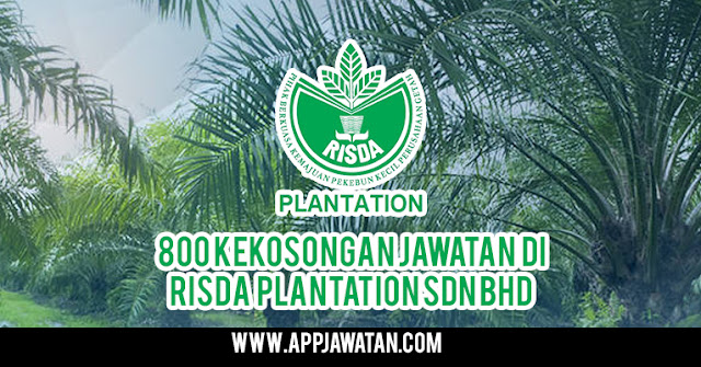 800 Kekosongan Jawatan di Risda Plantation Sdn Bhd