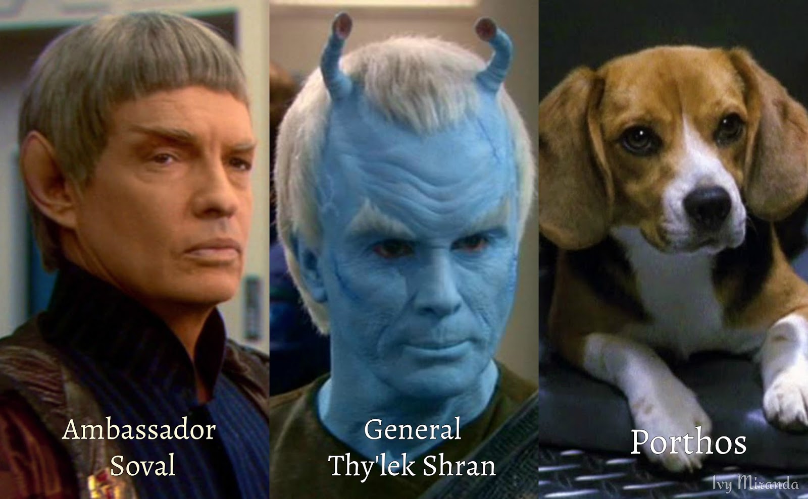 Revealed In Time Star Trek Enterprise