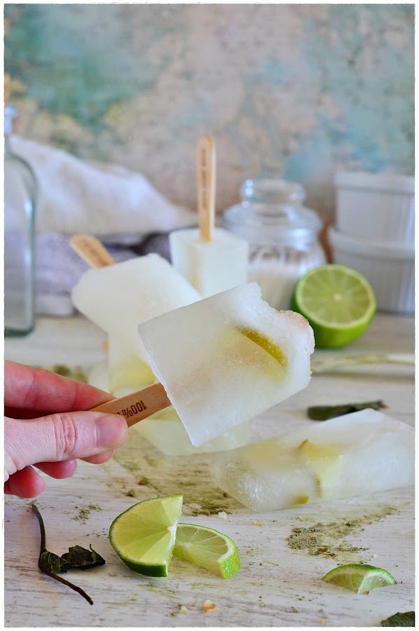 polos caseros de chocolate receta polo fresa helado de chocolate y banana polos de melocotón caseros como hacer helados caseros de chocolate directo al paladar helado polo de melocotón polos de frambuesa polo de kiwi casero polos eva arguiñano polos de piña