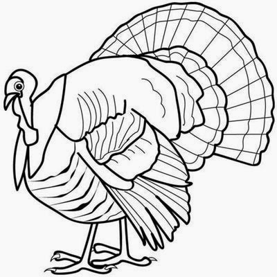 turkey coloring pages coloring.filminspector.com