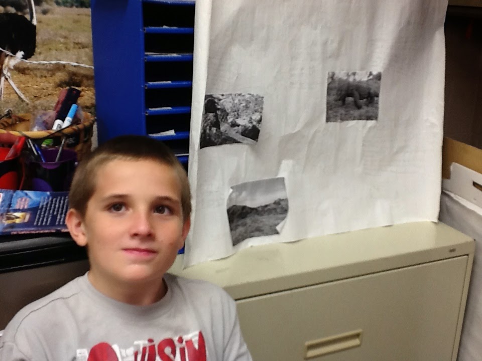 Ms. Walker's Super Star Classroom: Vertebrate Gallery