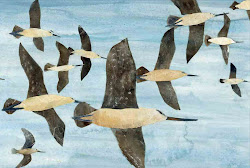 markle sandra flight birds write wings fly them