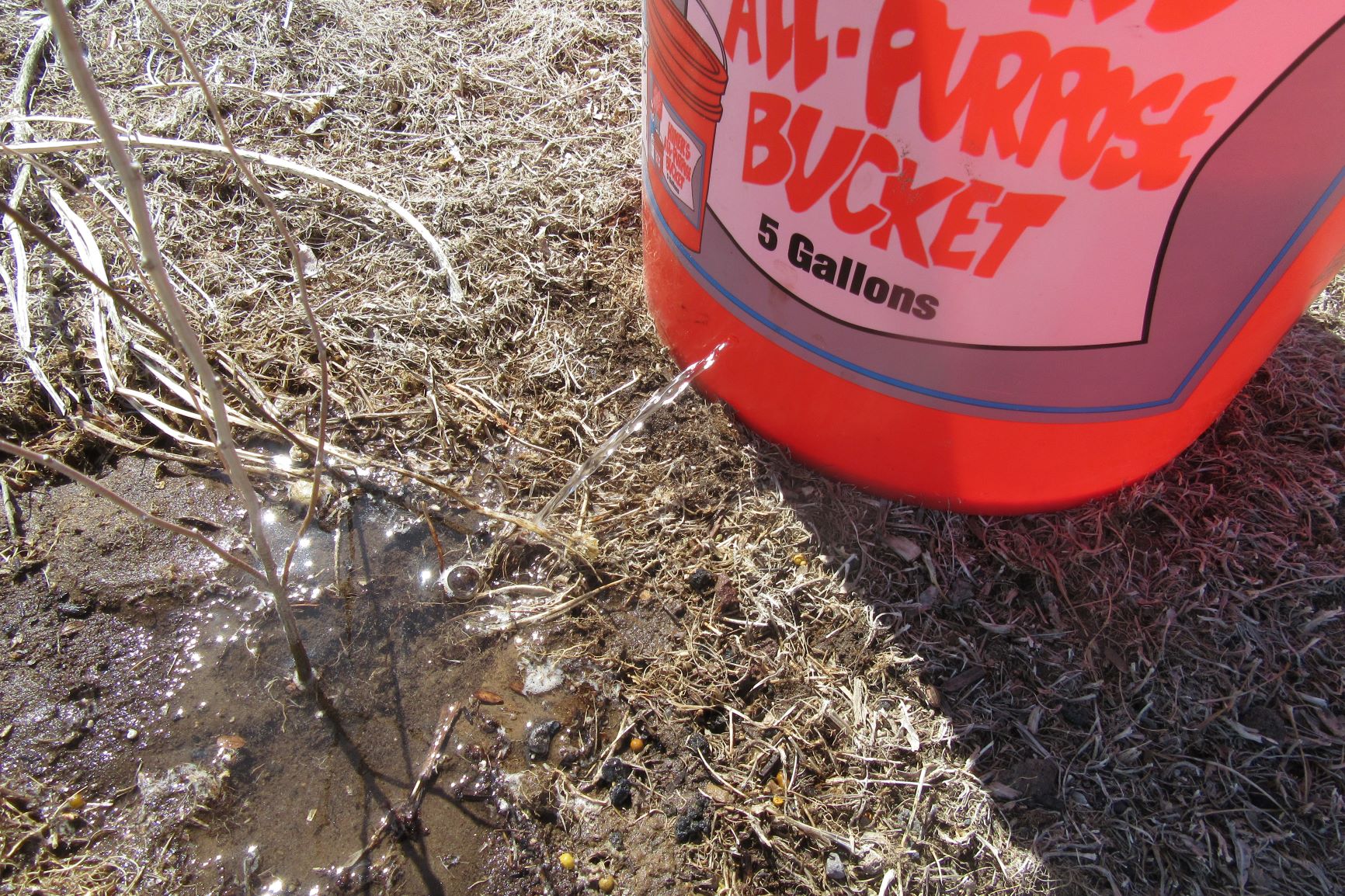Mother Nature's Montrose Garden Gardening Tip Spot Watering with Home