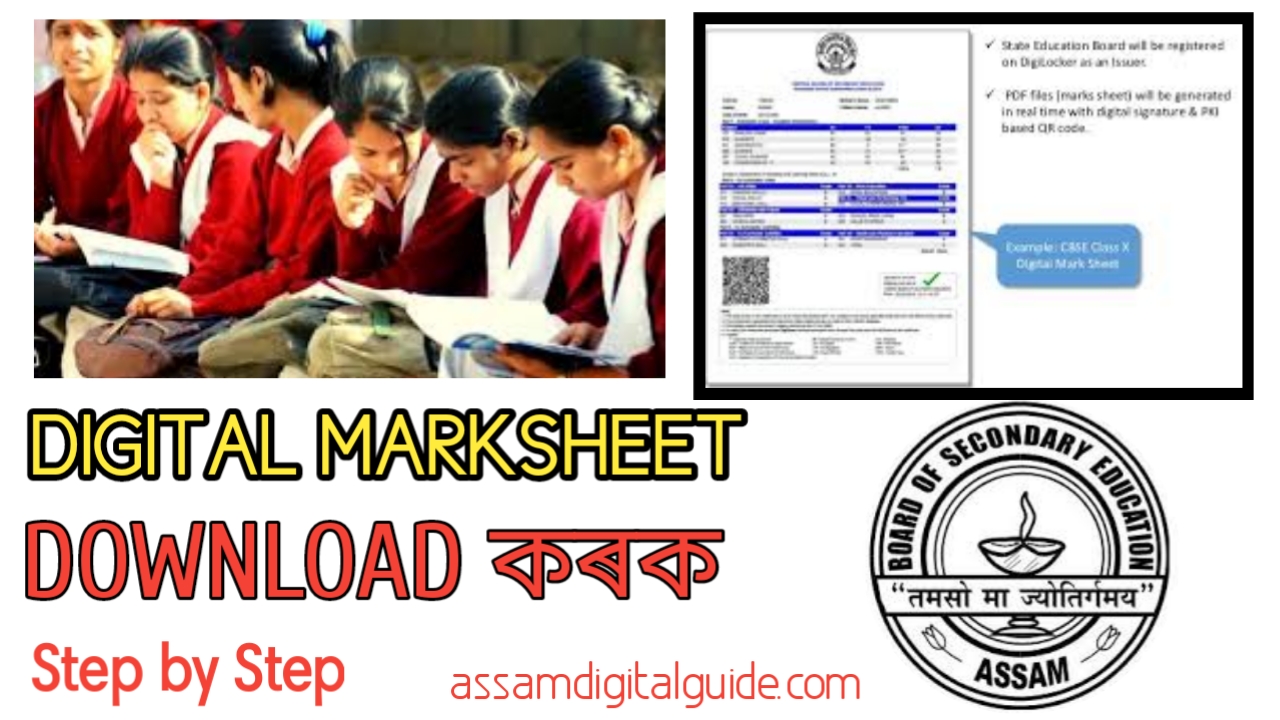 Hslc english essay 2020 picture