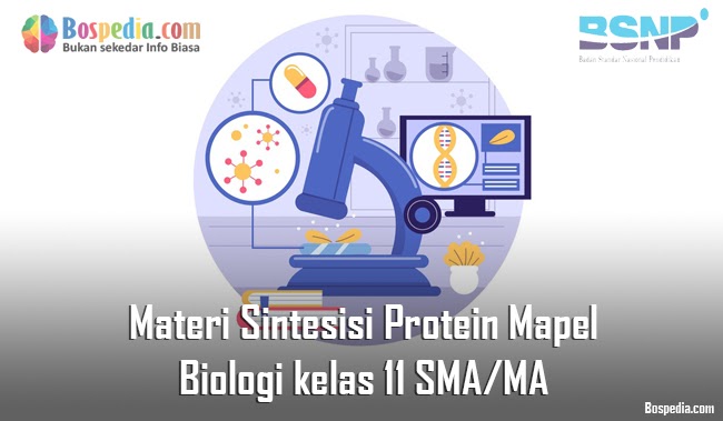 Materi Sintesisi Protein Mapel Biologi kelas 11 SMA/MA