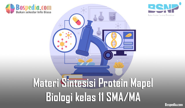 Materi Sintesisi Protein Mapel Biologi kelas 11 SMA/MA