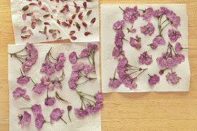 dried pressed flowers on tissue paper