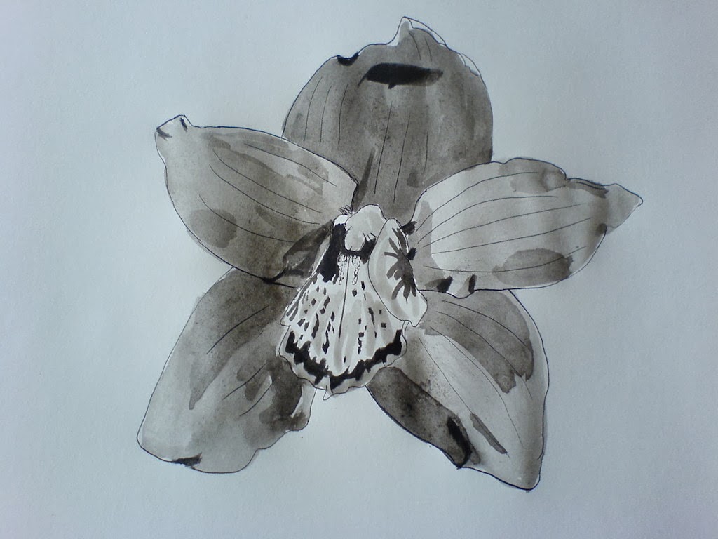 Dessins / Peintre à l'encre de chine