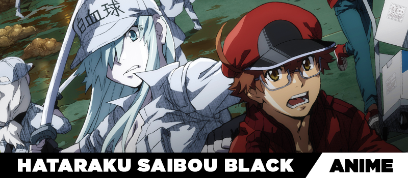 Recomendação de anime: Hataraku Saibou