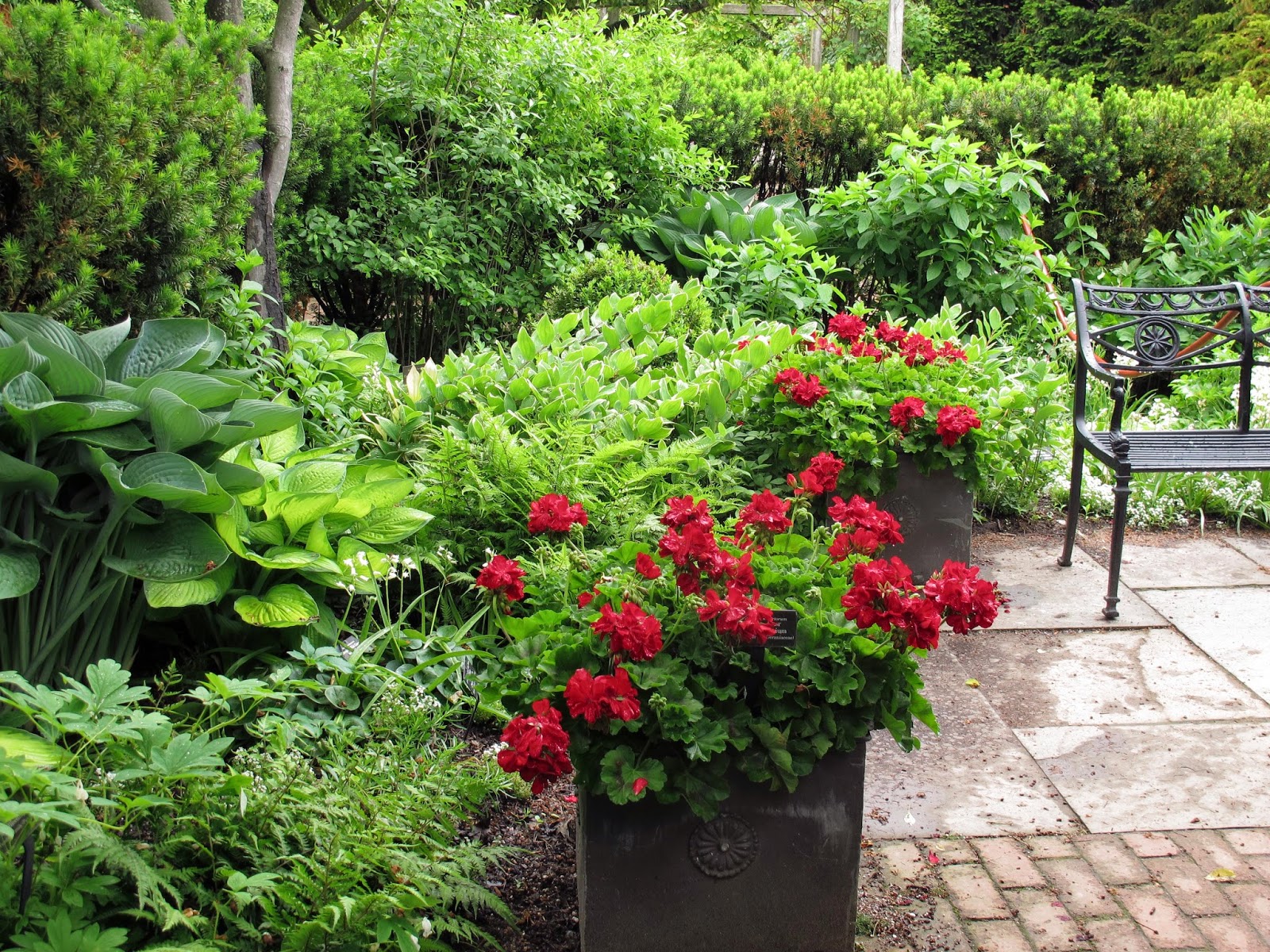 En el jardin: Jardín Botánico de Chicago: vale la pena.