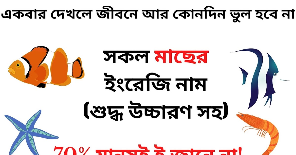 সব মাছের ইংরেজি নাম - All Fish Name in English and Bengali