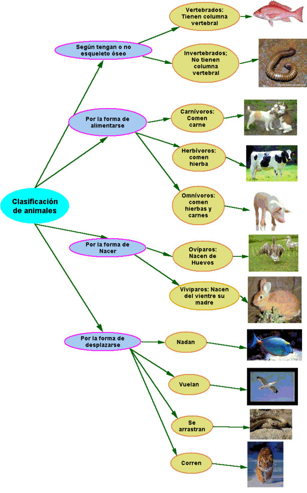 JUEGOS DE CONO: LOS ANIMALES