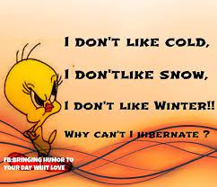 Ravi Speaks:Some People Like Winter And Some Don’t-Part-II. Ravi Speaks:Some People Like Winter And Some Don’t-Part-II.