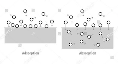 Factors affecting adsorption of gases on solids