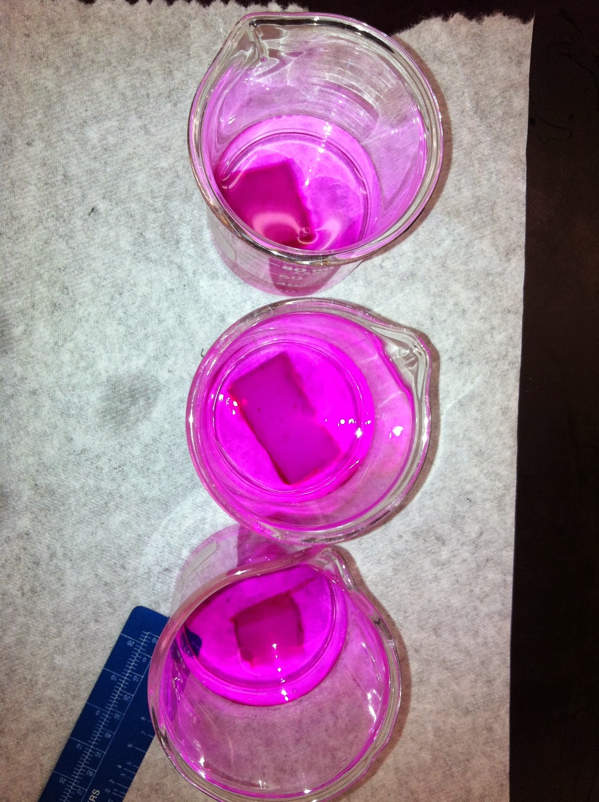 Mr. Quick= best biology teacher ever! (Tanya's honors biology blog ...