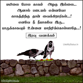 Tamil quote with iravu vanakkam