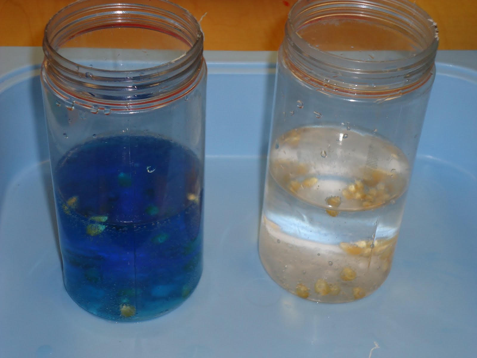 Trinity Preschool Mount Prospect Pre K experiment Dancing Popcorn