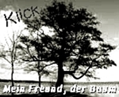 https://jahreszeitenbriefe.blogspot.com/2018/09/naturdonnerstag-mein-freund-der-baum.html